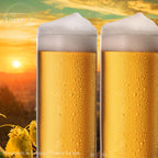 IMPERIAL glass Kölschgläser aus Glas Set 12-Teilig 500ml (max. 630ml) Kölschstangen 0,5L