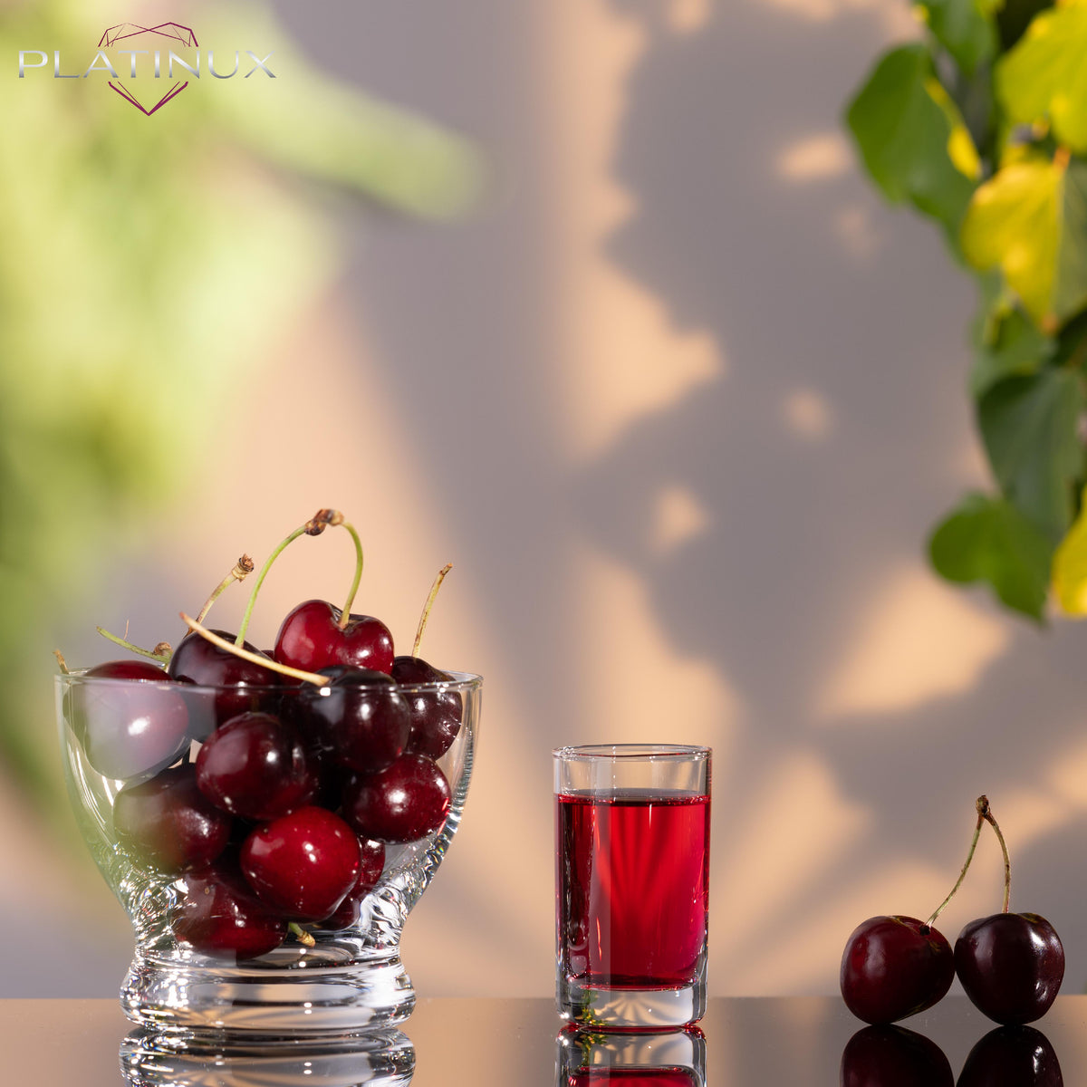 PLATINUX Kieliszki 30ml - zestaw 6 szklanych kieliszków do wódki - można myć w zmywarce