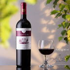 PLATINUM Małe Kieliszki do Wina 250ml Zestaw 6 Sztuk Kieliszki do Czerwonego Wina ze Szkła Krystalicznego Kieliszki Burgundzkie