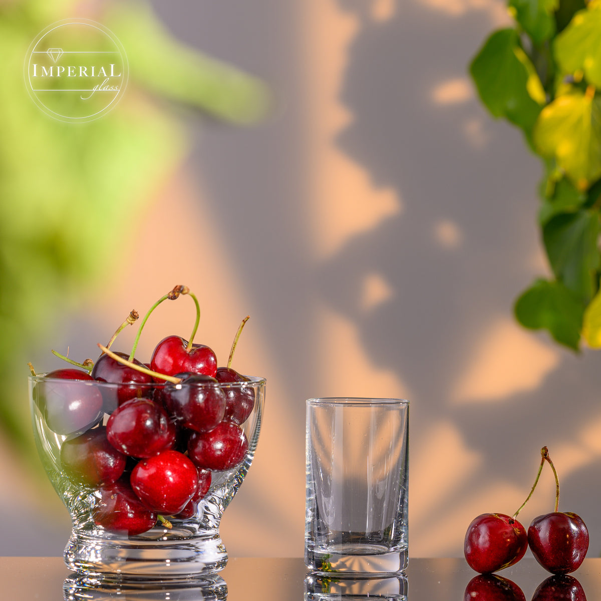 IMPERIAL szklane kieliszki do shotów, zestaw 6 sztuk 60ml - kieliszki do wódki ze szkła z grubym dnem, przezroczyste kieliszki do shotów, likierów i aperitifów, można myć w zmywarce