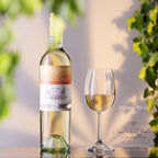 PLATINUX Kieliszki do białego wina 250ml Zestaw 6-częściowy Kieliszki do wina z kryształowego szkła Kieliszki do Rieslinga