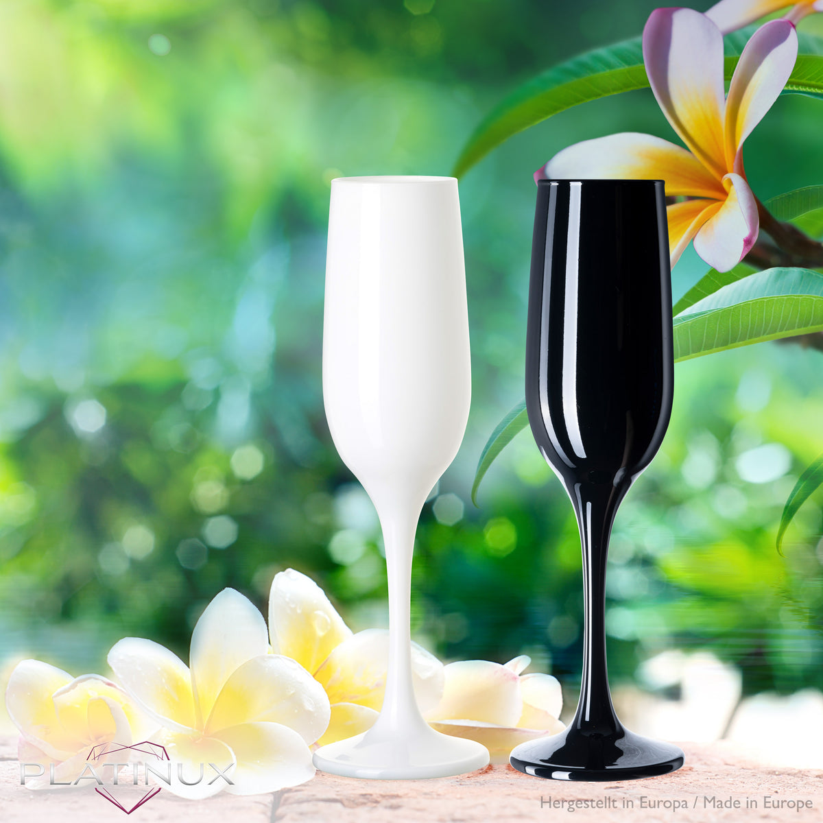 PLATINUX Czarne i Białe stabilne kieliszki do szampana Zestaw 6-częściowy 160ml (maks. 210ml) Szklanki do Prosecco ze szkła