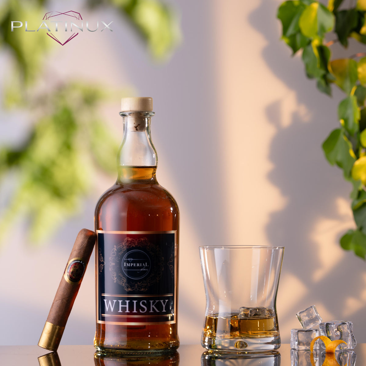 PLATINUX Szklanki do whisky 290ml Kształt X Zestaw 2 sztuki Szklanki do szkockiej ze szkła Seria "CrossLine" Można myć w zmywarce