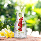 PLATINUX Karafki 600ml (maks. 1100ml) szklane 2 sztuki Karafka na wodę Karafka na napoje