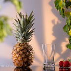 PLATINUX Szklanki 200ml w kształcie X Zestaw 12-częściowy Szklanki do soków ze szkła Seria "CrossLine" Można myć w zmywarce