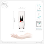 IMPERIAL glass Kölschgläser mit Kölner Dom Motiven Set 6-Teilig 200ml (max. 240ml) Kölschstangen aus Glas