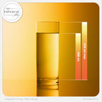 IMPERIAL glass Kölschgläser aus Glas Set 12-Teilig 500ml (max. 630ml) Kölschstangen 0,5L