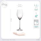 IMPERIAL glass Proseccogläser 230ml (max. 290ml) Set 6-Teilig "Havanna" Sektgläser aus Crystalline Glas Spülmaschinenfest