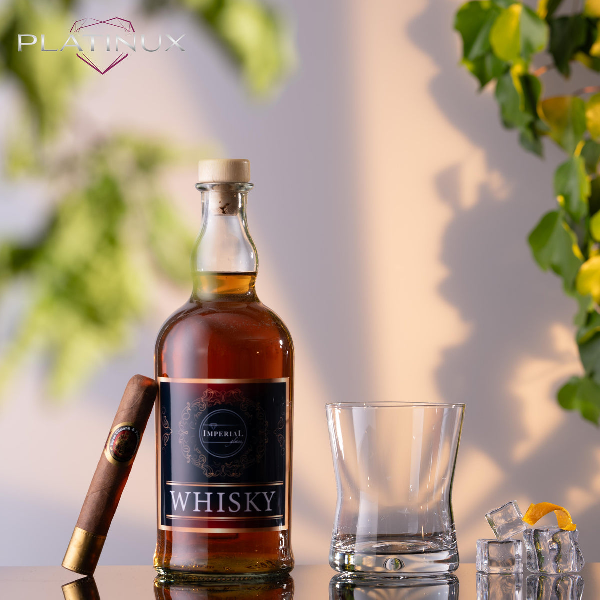 PLATINUX Szklanki do whisky 290ml Kształt X Zestaw 2 sztuki Szklanki do szkockiej ze szkła Seria "CrossLine" Można myć w zmywarce