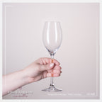 IMPERIAL glass Proseccogläser 230ml (max. 290ml) Set 6-Teilig "Havanna" Sektgläser aus Crystalline Glas Spülmaschinenfest