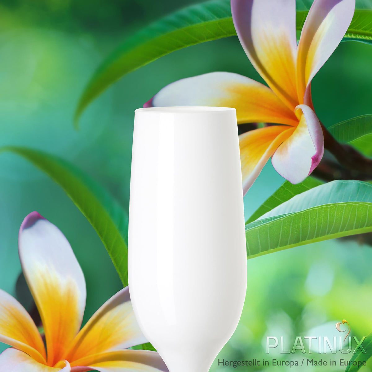 PLATINUX Białe kieliszki do szampana zestaw 6 sztuk, kieliszki do szampana 160ml (max. 200ml) ze szkła