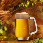 PLATINUX Kufel do piwa z uchwytem Zestaw 6-częściowy 300ml (maks. 375ml) Szklany kufel do piwa
