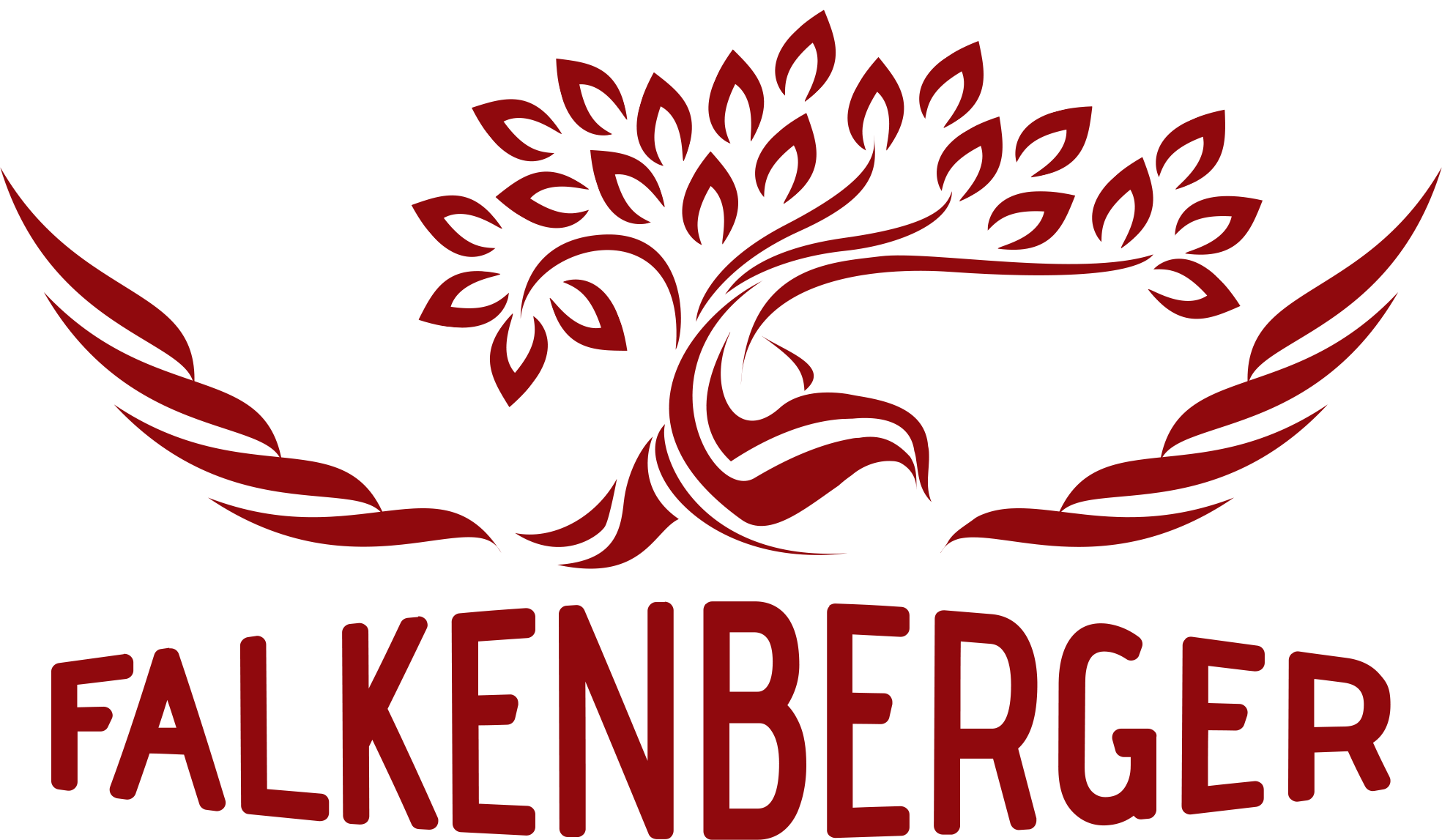 FALKENBERGER