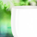 PLATINUX Eleganckie białe szklanki do picia 260ml (max.320ml) Zestaw 6 sztuk Szklanki do wody