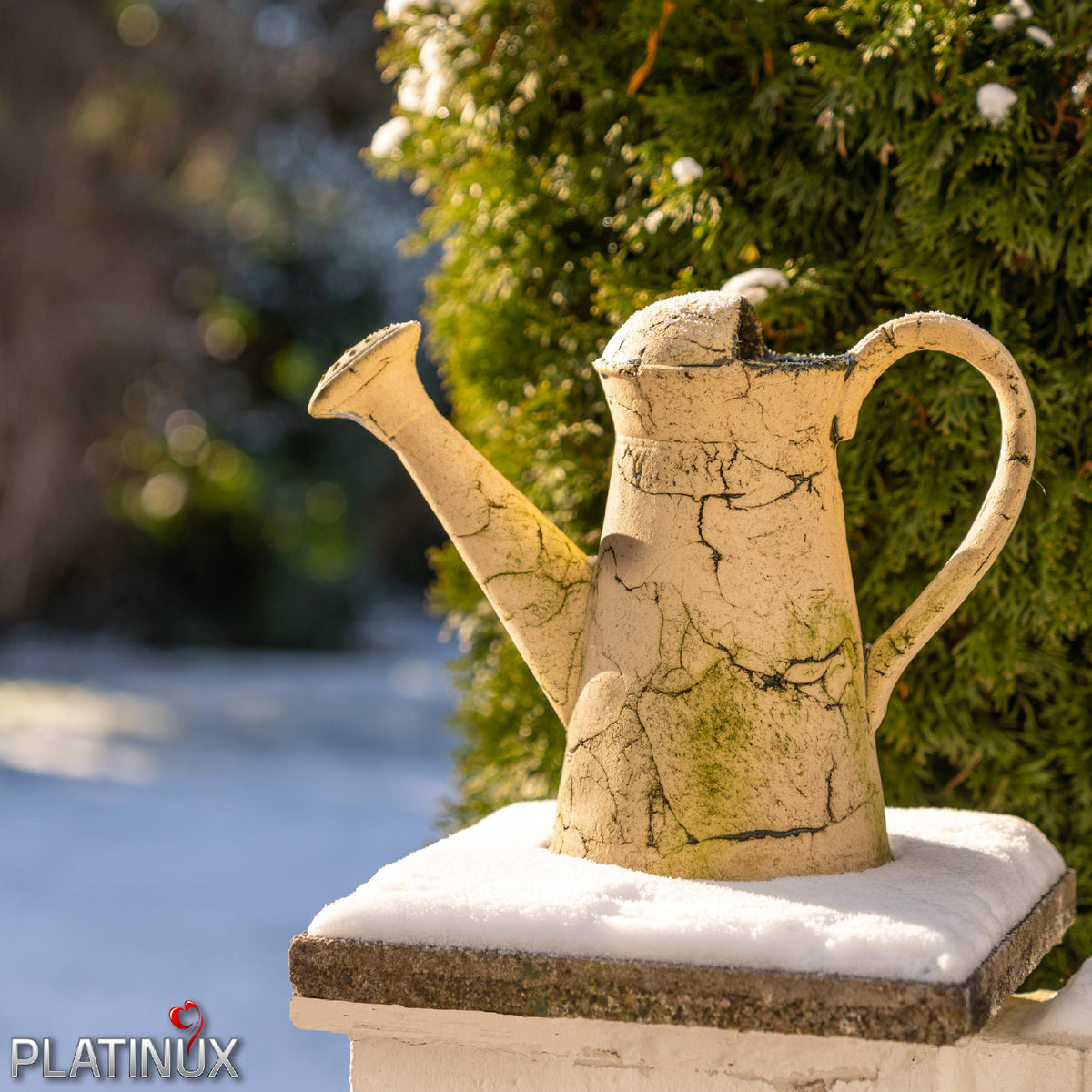 PLATINUX Kamionkowa konewka dekoracyjna zielona 36x16,5x26,5cm