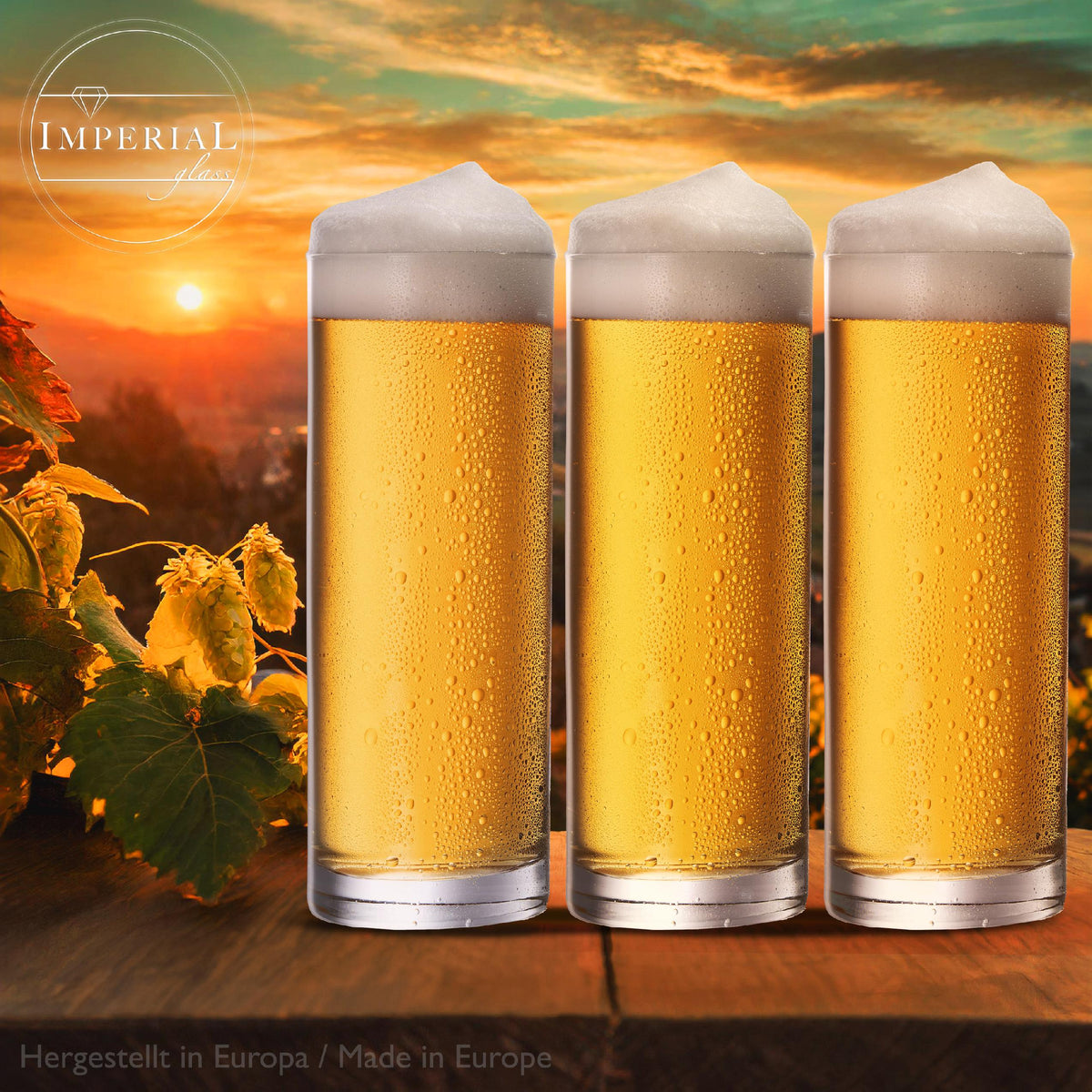IMPERIAL glass Kölschgläser aus Glas Set 12-Teilig 500ml (max. 630ml) Kölschstangen 0,5L