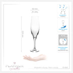 Kieliszki do szampana PLATINUX 180 ml (maks. 215 ml) Kieliszki do szampana z krystalicznego szkła Zestaw 6 sztuk Można myć w zmywarce