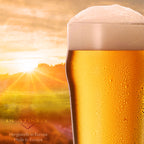 PLATINUX Zestaw 6 szklanek do piwa 500 ml (maks. 568 ml) Szklanki do piwa pszenicznego ze szkła wysokie szklanki do piwa